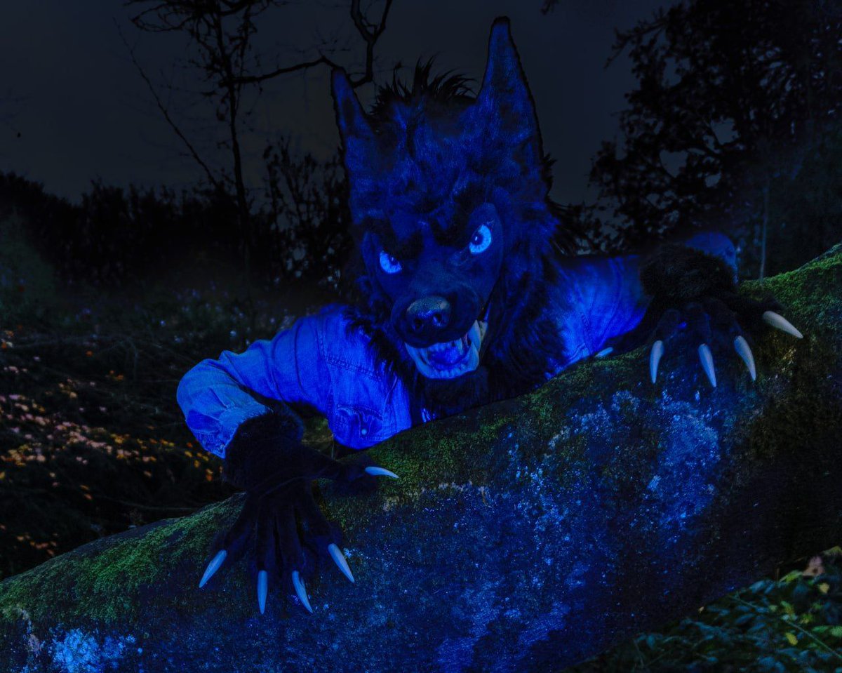 Heard something go bump in the night?  Don't worry, it was just this friendly fellow!  They don't bite...much 😁

This partial werewolf suit is for sale!  Check out the links below!
buff.ly/3Z0PmwE 
TG:  buff.ly/3B7NSbI 

#furry #fursuit #fursuitforsale #werewolf