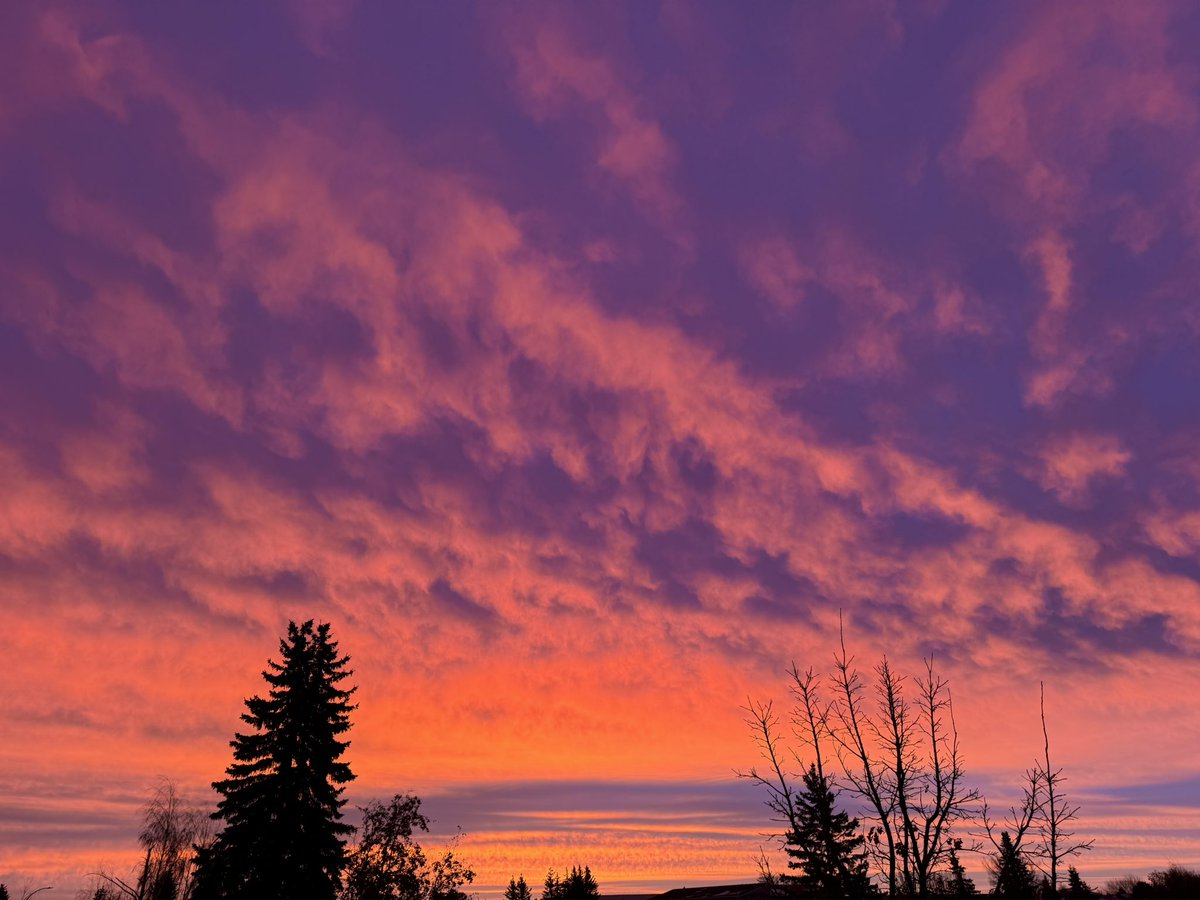 _byronjohnson's tweet photo. What a beautiful morning! A temperature of +4 and an amazing sunrise!  Even the snow looked pink.  Have a great weekend everyone!  @BonnyvilleAB #NorthofExpected #sunrise #pinksnow #FridayVibes #December2024 https://t.co/C1RudD9T0D