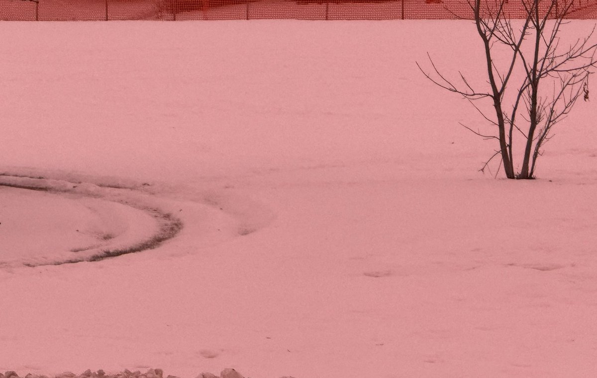 _byronjohnson's tweet photo. What a beautiful morning! A temperature of +4 and an amazing sunrise!  Even the snow looked pink.  Have a great weekend everyone!  @BonnyvilleAB #NorthofExpected #sunrise #pinksnow #FridayVibes #December2024 https://t.co/C1RudD9T0D