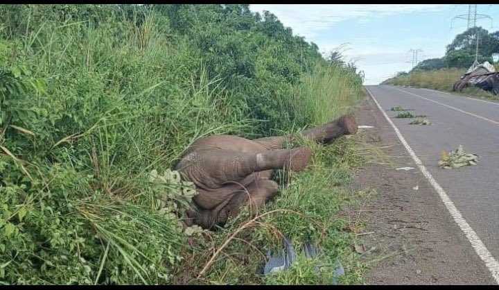 _lawslaw's tweet image. This picture go make sense on December 8 waaa.