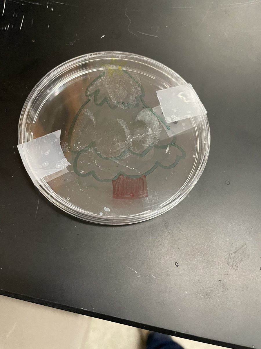Finished up a week of labs with superglue fuming for fingerprints. Students had the option to decorate their fingerprints and turn them into ornaments.