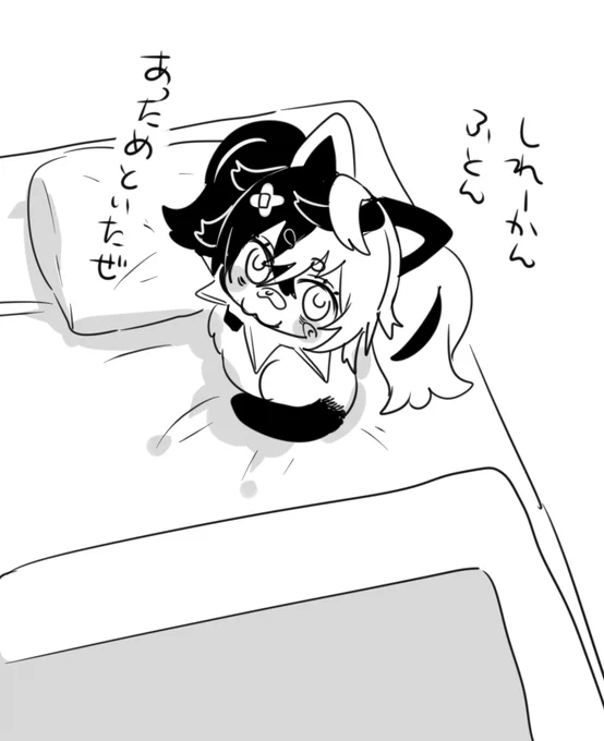 くーにゃんがあっためた布団で寝ます おやすみ 