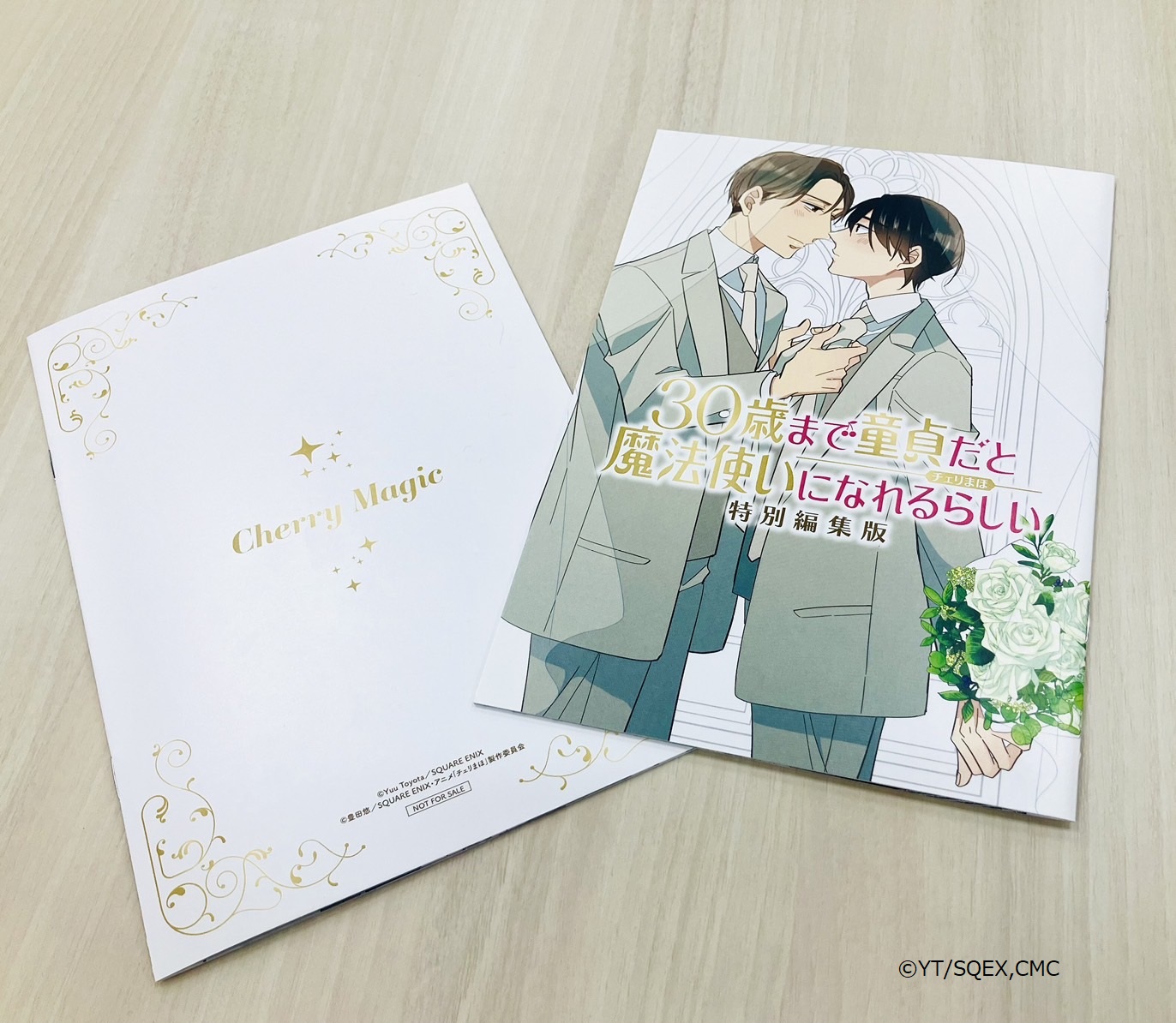 ★HOHHO★チェリまほ　Blu-ray 全巻購入特典　A4クリアファイル ☆HOHHO☆チェリまほ Blu-ray 全巻購入特典 A4クリアファイル