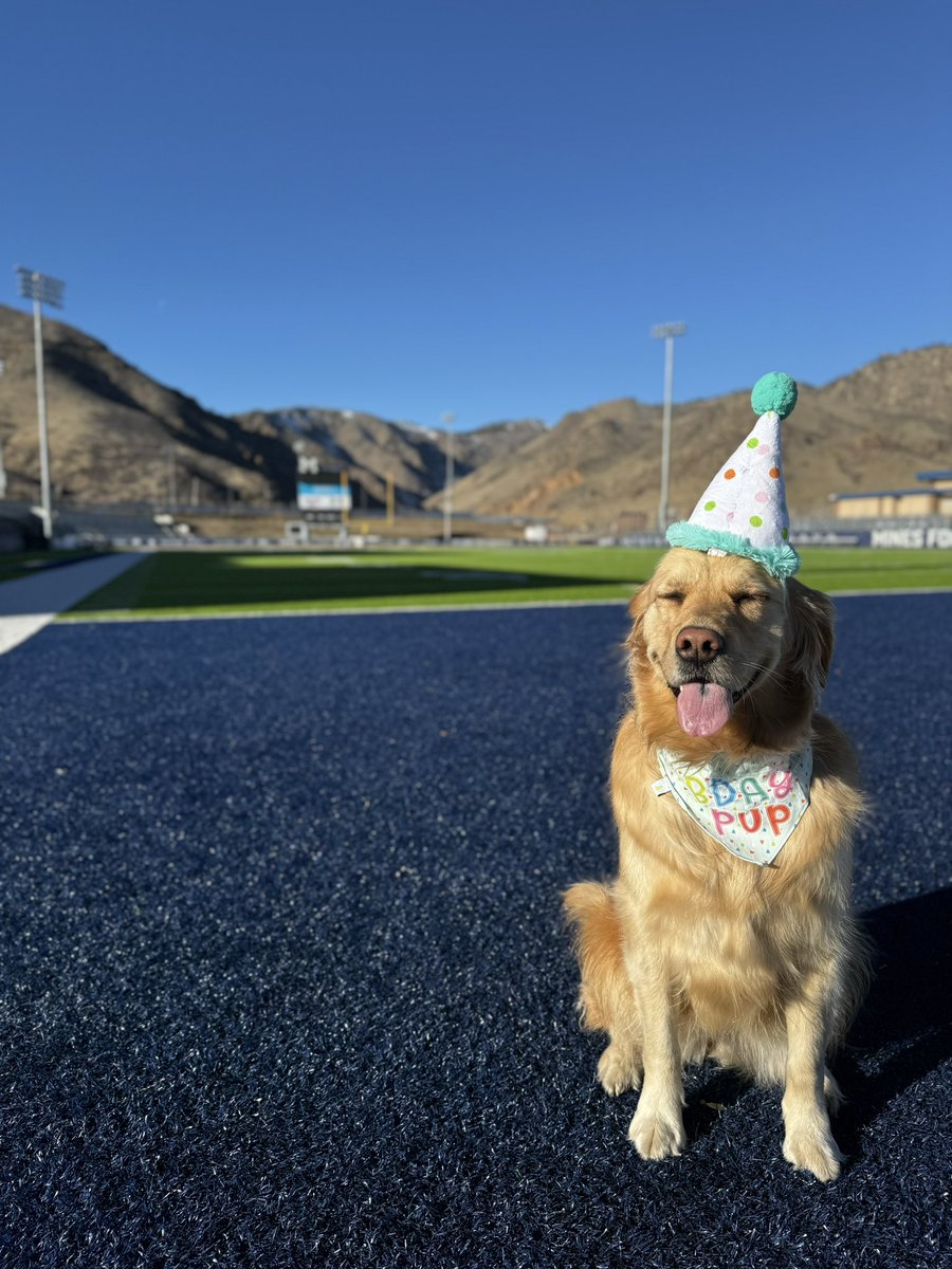 MinesEQ (@mineseq) on Twitter photo Dear Ella,
HAPPY BIRTHDAY!!
Thank you for four years of being the best Assistant EQ manager, emotional support dog, morale pup, water bottle stealer and friend that we could all ask for! An Oredigger since day 1!
Sincerely,
<a href="/MinesAthletics/">Mines Athletics</a> Dear Ella,
HAPPY BIRTHDAY!!
Thank you for four years of being the best Assistant EQ manager, emotional support dog, morale pup, water bottle stealer and friend that we could all ask for! An Oredigger since day 1!
Sincerely,
<a href="/MinesAthletics/">Mines Athletics</a>
