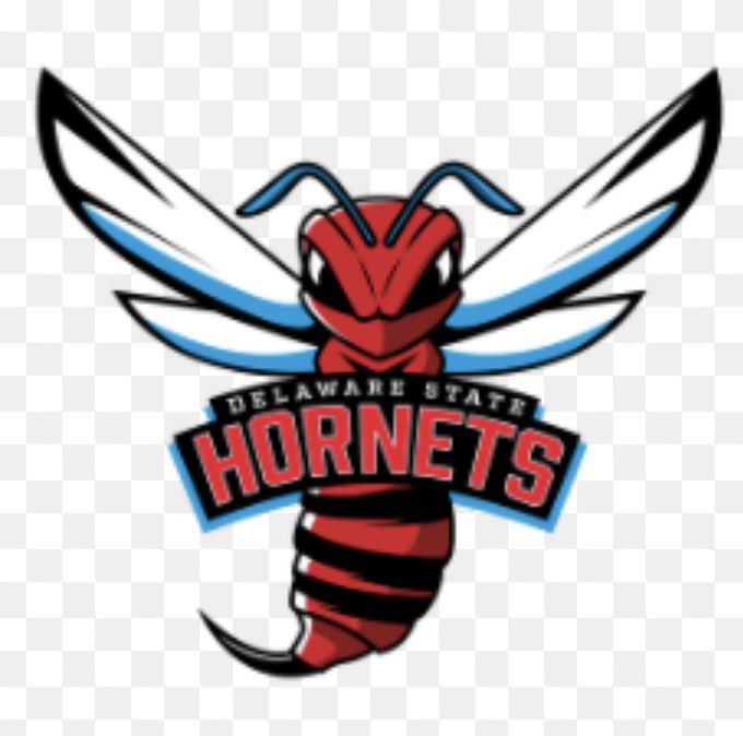 Delaware state Offered! Thank you for the opportunity! @CoachWhite_DSU