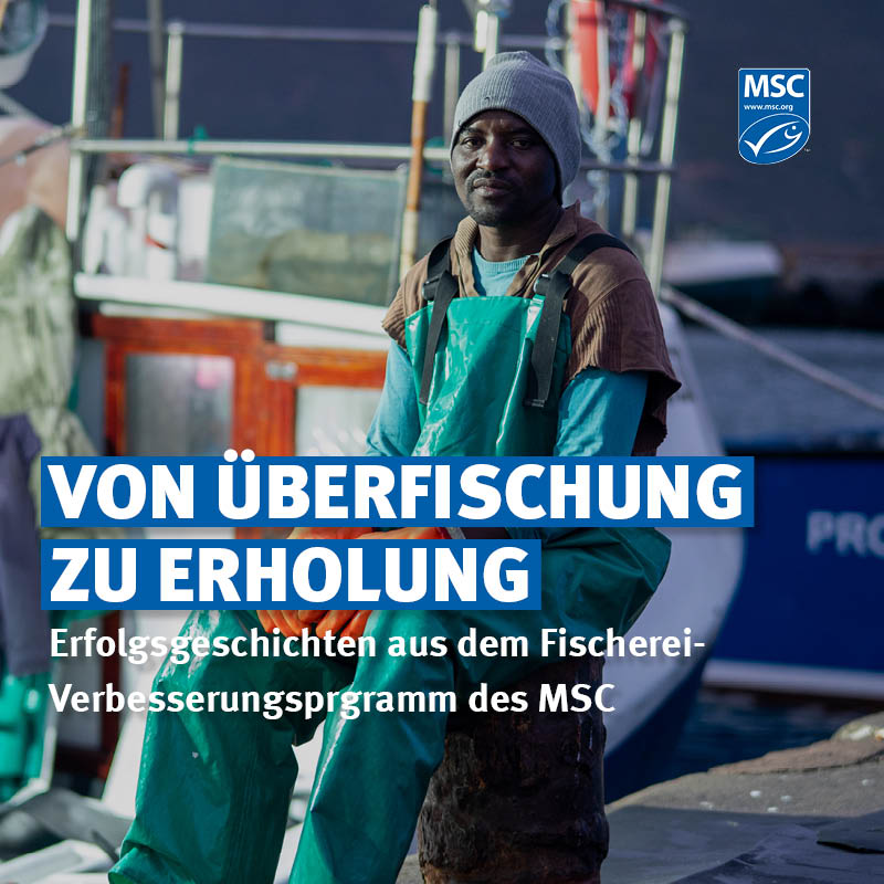🇿🇦🐟 Die südafrikanische Angelrutenfischerei auf Weißen Thunfisch hat in diesem Sommer einen großen Meilenstein erreicht: Als erste #Fischerei hat sie das Fischerei-Verbesserungsprogramm des MSC noch während der Testphase erfolgreich abgeschlossen! 💪

🔑 Was wurde erreicht?
✔