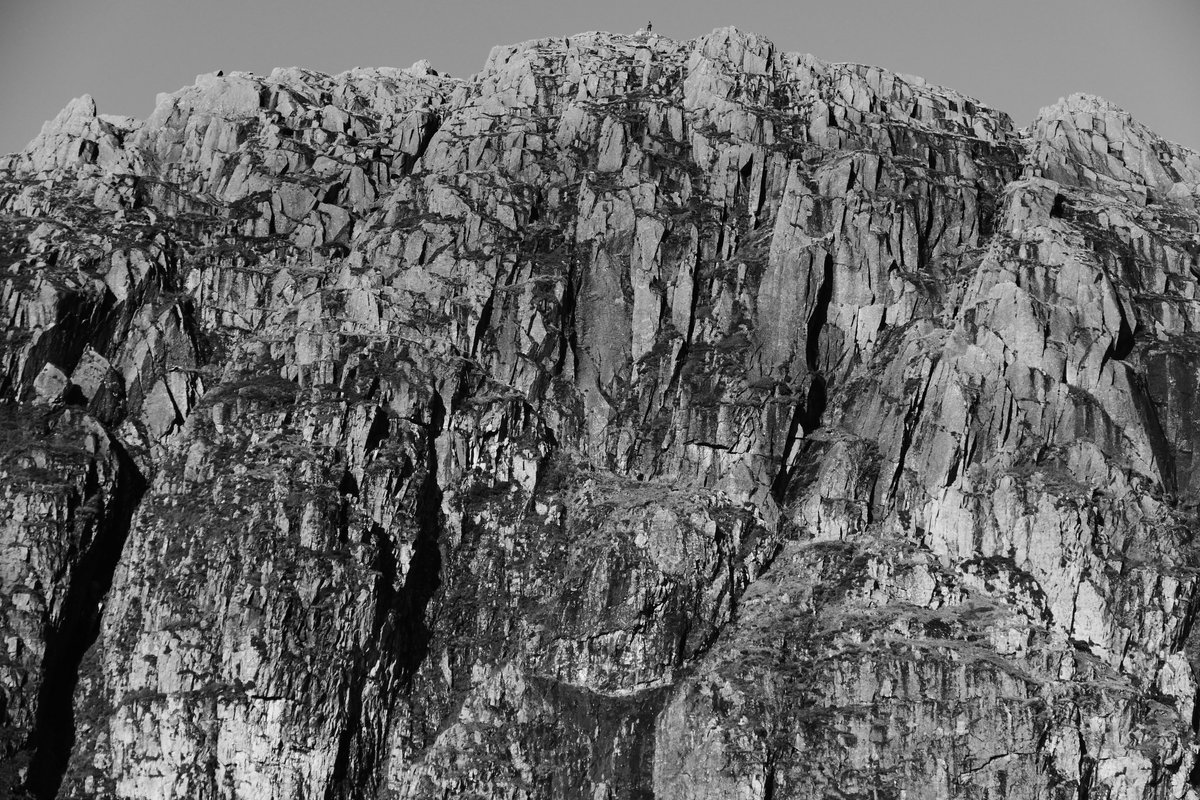 EdgeofMull tweet media