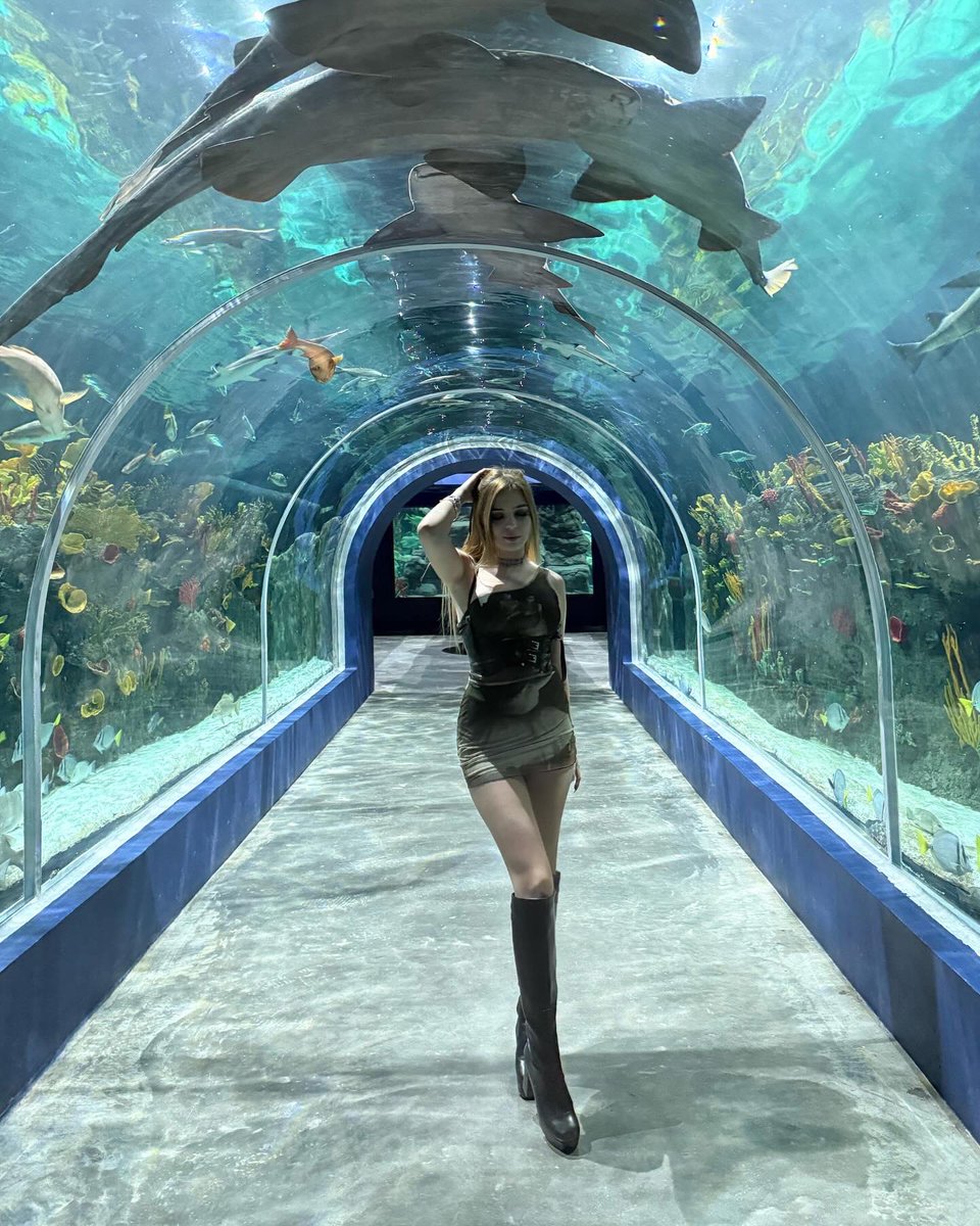 lailamontero's tweet photo. 🪸🦈🐠✨ https://t.co/NI12gD9Kmo