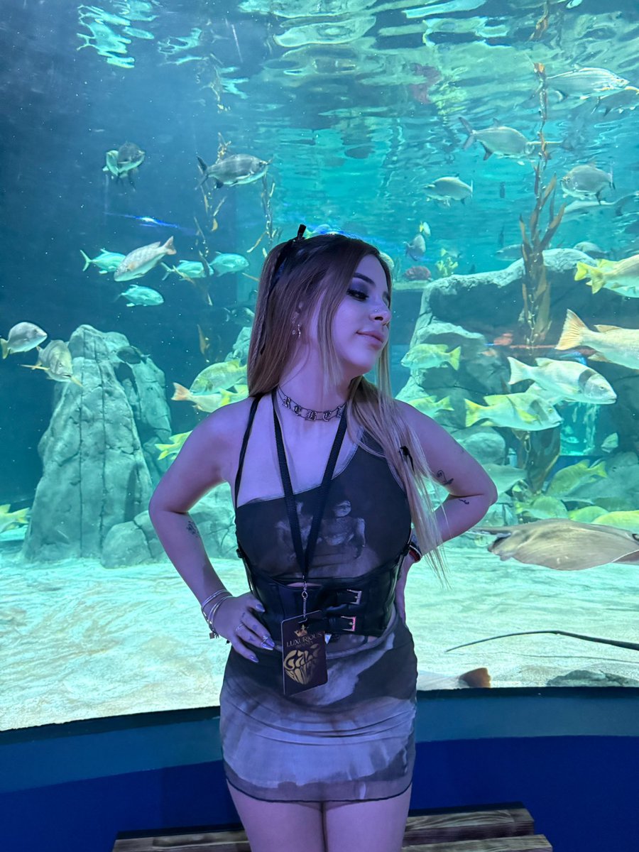 lailamontero's tweet photo. 🪸🦈🐠✨ https://t.co/NI12gD9Kmo