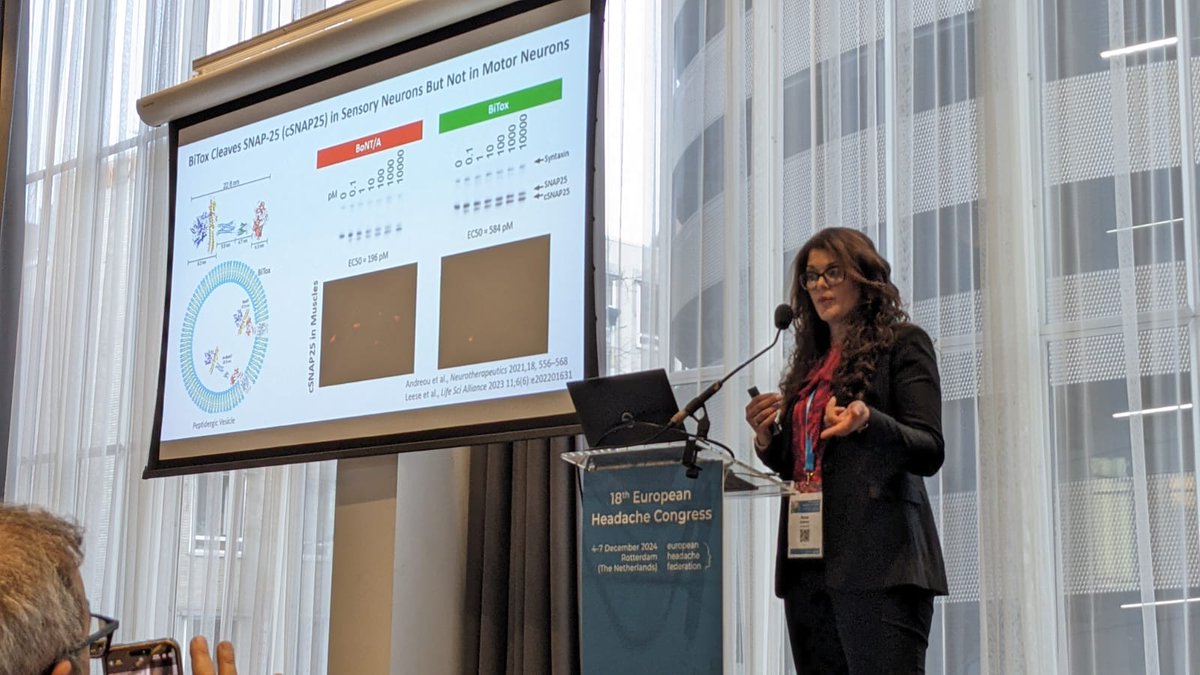 ap_andreou's tweet image. So many #EHC2024 attendees at the #TrigeminalNeuralgia session today! Very impressive! And lots of excitment for our non-paralytic  #BiTox project! 🙏 @EHF_Official for the invitation @WolfsonSPaRC @GSTT_Headache #pain #botox