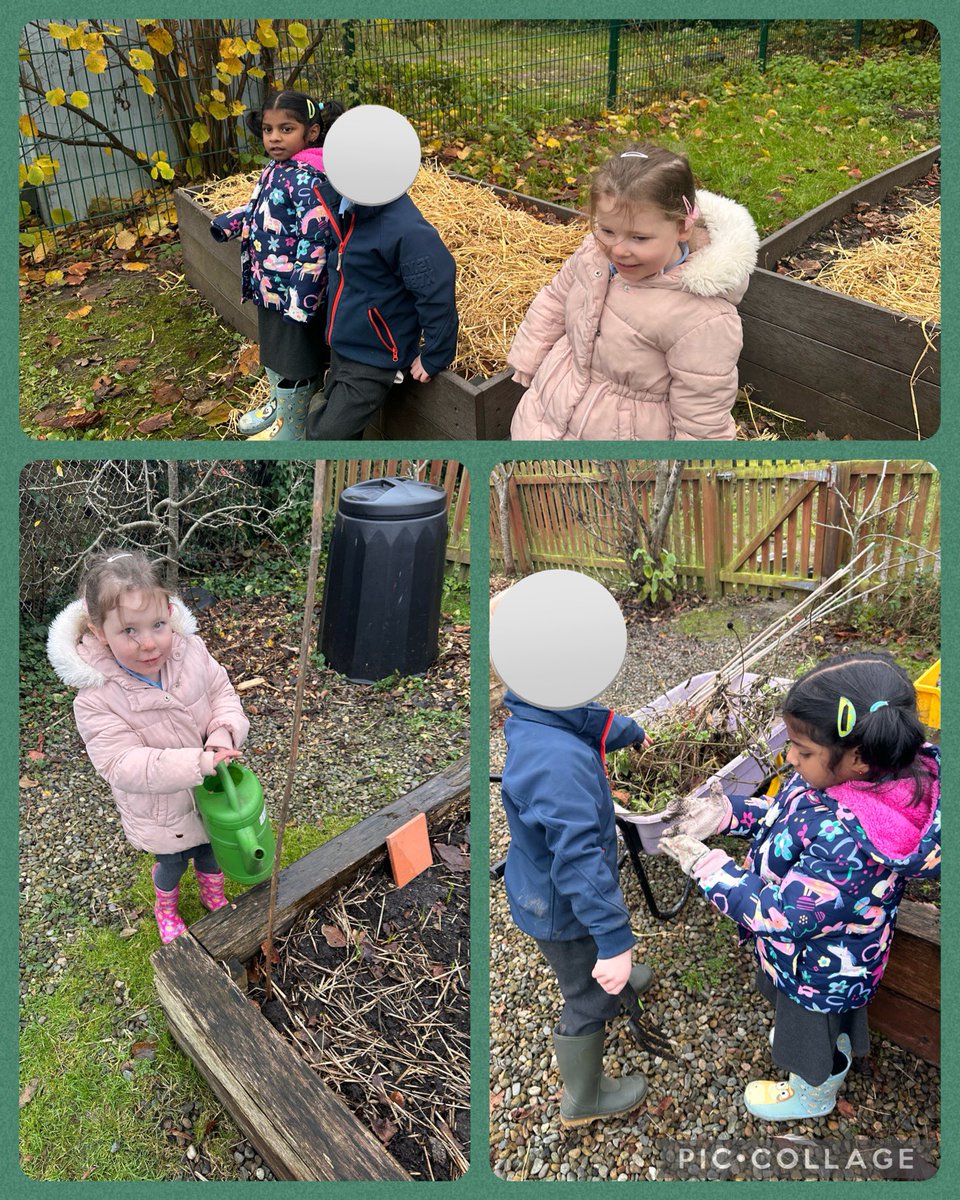 Today’s Reception gardeners did a fabulous job helping Graham and Hayley. We tucked the radish’s into a lovely cosy straw bed for the winter and pulled lots of weeds before adding them to our compost bin. Well done team! 

@ComberbachNPS 
@ComberbachMrsY 

#wintergardening