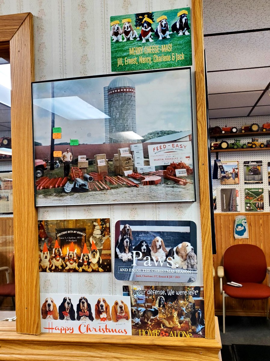 Mockler Bassets tweet media