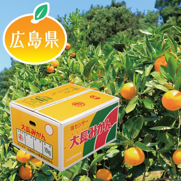 OxLRKz78's tweet photo. カゴメ健康直送便様　広島みかん　使って下さい🍊
広島と言えば　お酒、柑橘類が有名です　
ぜひ、次回は広島みかん　お願いします🙇‍♂️😁
引用元：マックスバリュー、千福 https://t.co/HloF3pxT8U