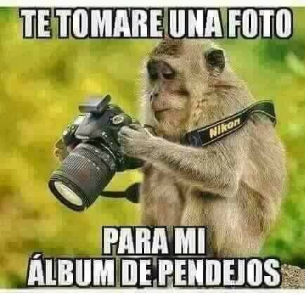 vanBravenRizzo's tweet photo. @templBite https://t.co/IyRgTyt9PU