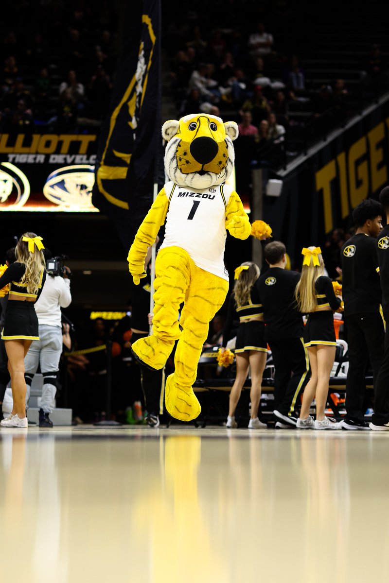 TheZou (@_thezou) on Twitter photo Take a study break tomorrow and head to Mizzou Arena at 2 pm to watch <a href="/MizzouWBB/">Mizzou Women’s Basketball</a>! 🚨Arrive early for free donuts and a rope hat giveaway 🚨 Take a study break tomorrow and head to Mizzou Arena at 2 pm to watch <a href="/MizzouWBB/">Mizzou Women’s Basketball</a>! 🚨Arrive early for free donuts and a rope hat giveaway 🚨