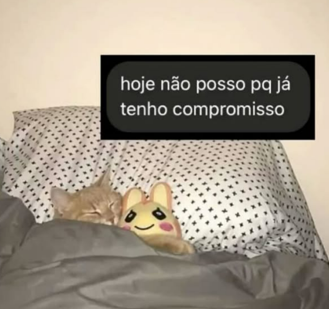 euovitinn's tweet photo. kkkkk o melhor https://t.co/RNCRrwUcm6