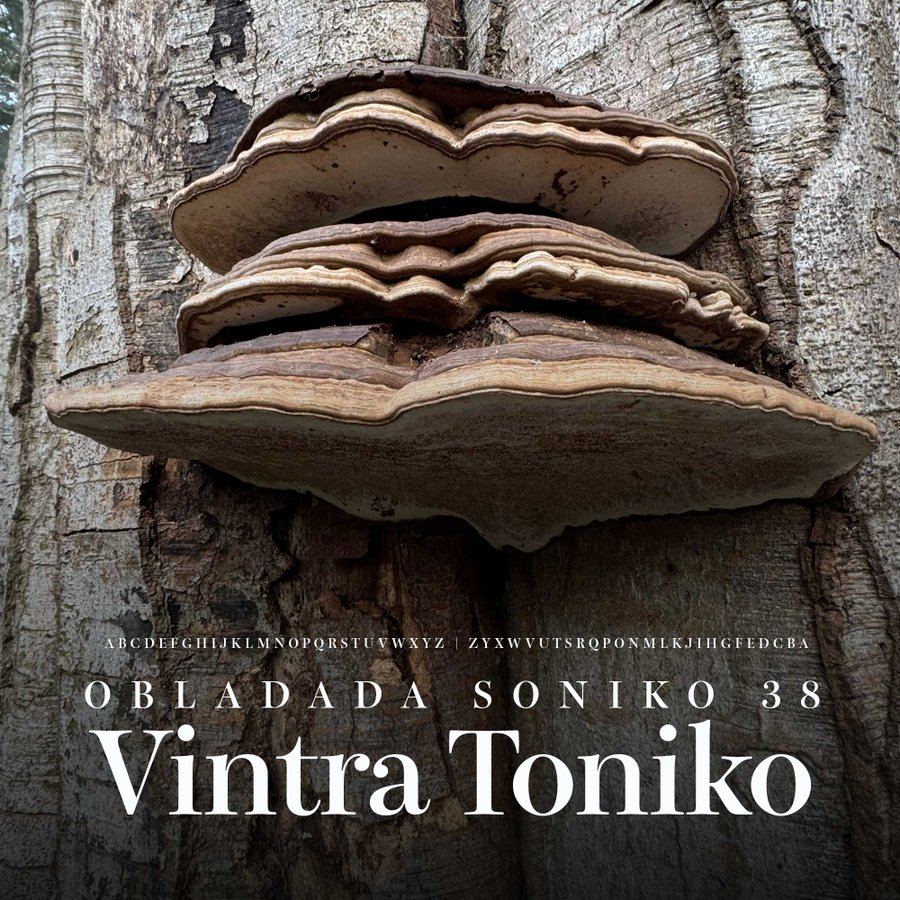 listen_camp's tweet photo. 7-9pm: OBLADADA SONIKO

Packed full of kosmic delights. psych grooves, abstract textures, avant garde voids, wormhole drones, and dream states. An exhilarating 2-hour adventure…

@obladada | https://t.co/MTBJKlSw5T
#PsychedelicRock #Ambient #Drone #Electronic #AvantGarde

*⏰CET https://t.co/sBkfPaT20o
