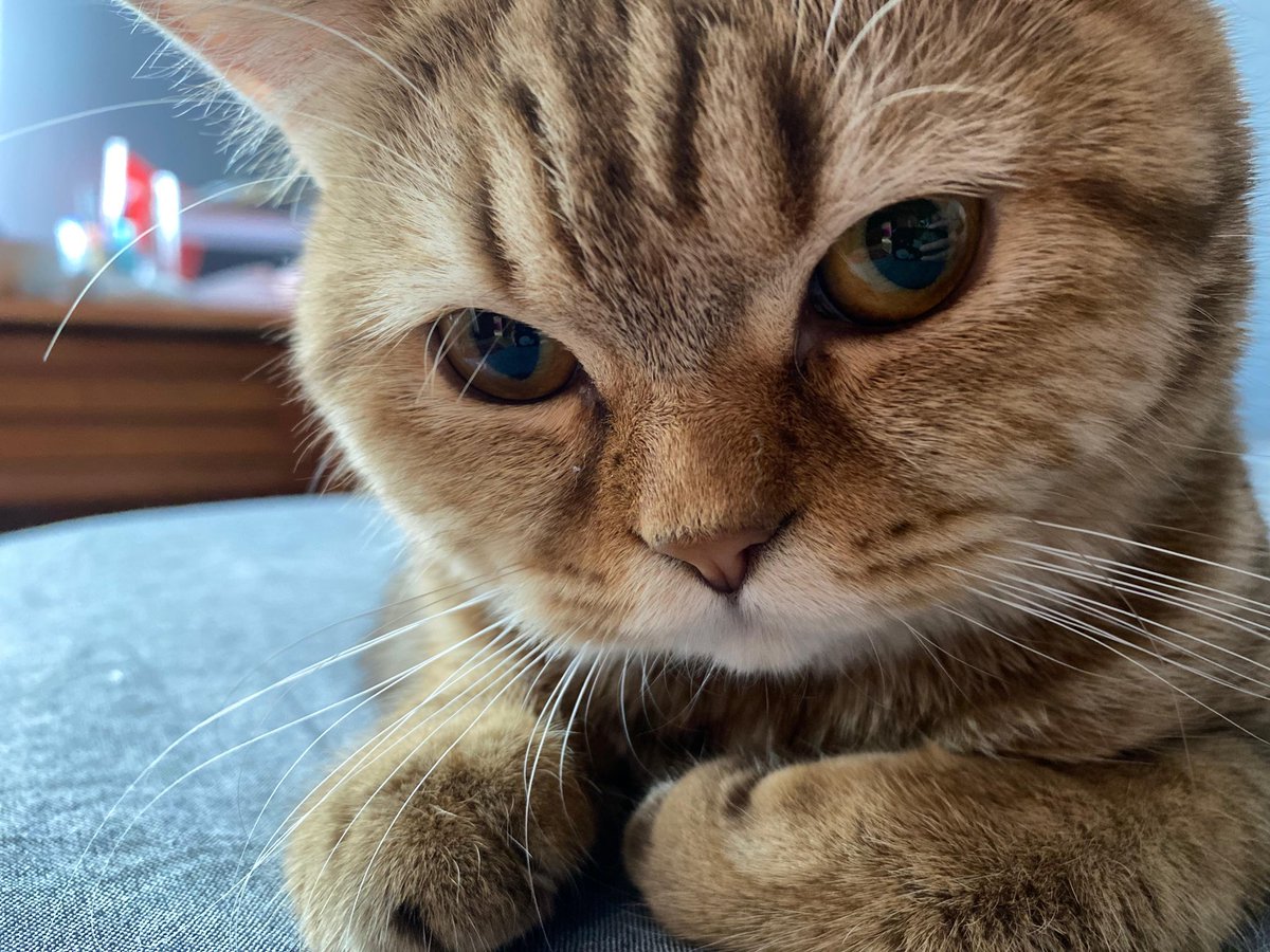 babisim annme hediye almis. bana almamis bn daha kucukmusum. hani ben sizin prensesiniz idim. beni usmeye hakkiniz yok yalancular