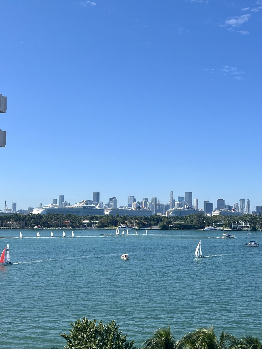 Beautiful Miami Friday off my balcony this morning!

Love being in a city that provides an environment to GROW and THRIVE in!!!