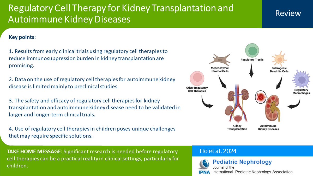 Pediatric Nephrology (@ped_neph) on Twitter photo Regulatory cell therapies are promising for reducing immunosuppression burden in transplantation. Read this Review of regulatory cell therapy for kidney transplantation & autoimmune kidney diseases. #OpenAccess 
link.springer.com/article/10.100… Regulatory cell therapies are promising for reducing immunosuppression burden in transplantation. Read this Review of regulatory cell therapy for kidney transplantation & autoimmune kidney diseases. #OpenAccess 
link.springer.com/article/10.100…