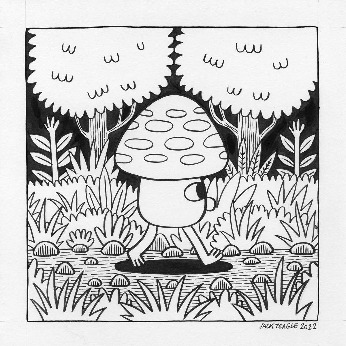 Jack Teagle tweet media