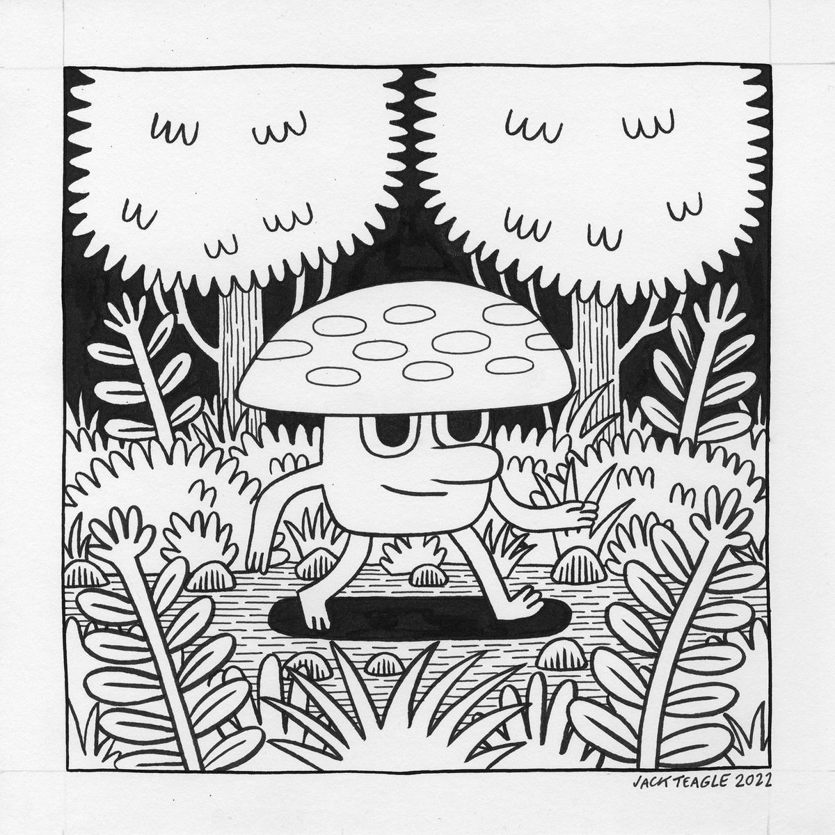 Jack Teagle tweet media