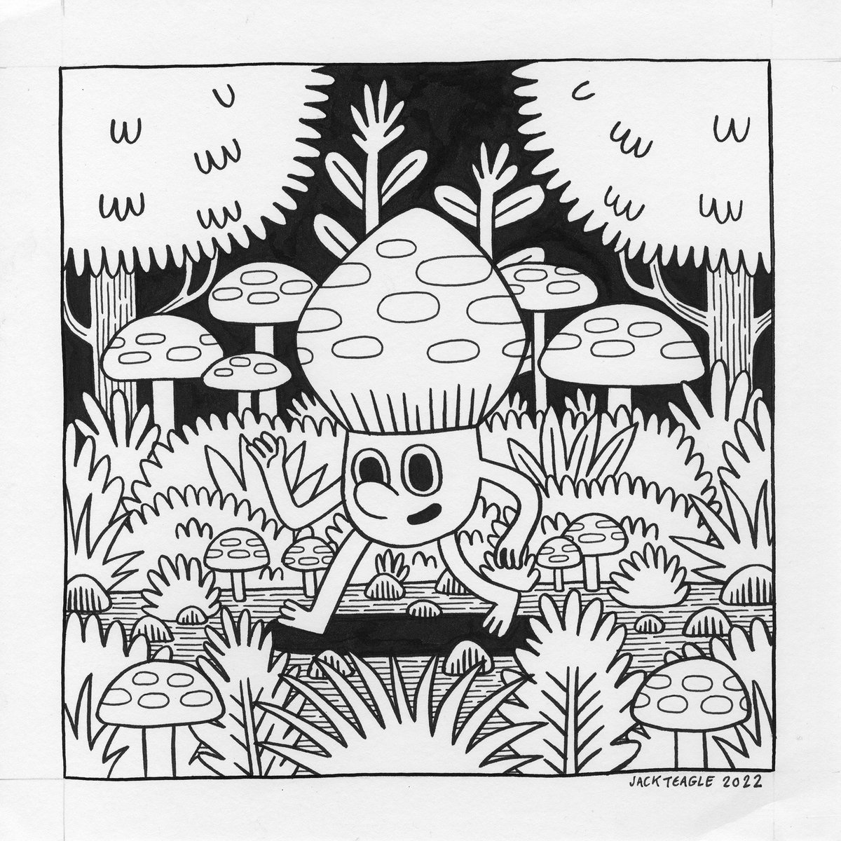 Jack Teagle tweet media