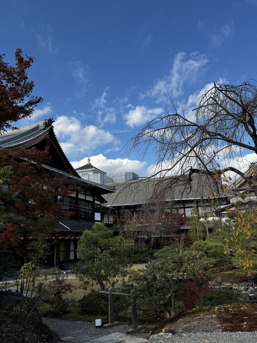 KaeDenDen0915's tweet photo. 京都大満喫して帰宅
キッズ達も京都来てないかな〜ってオモニと話してたけど来てたやんw
イエニのインスタに上がってるお店近くいたわ https://t.co/jO0Itb4tHb