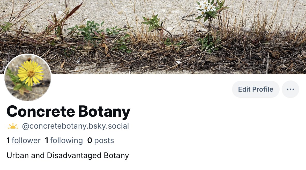 concretebotany tweet media
