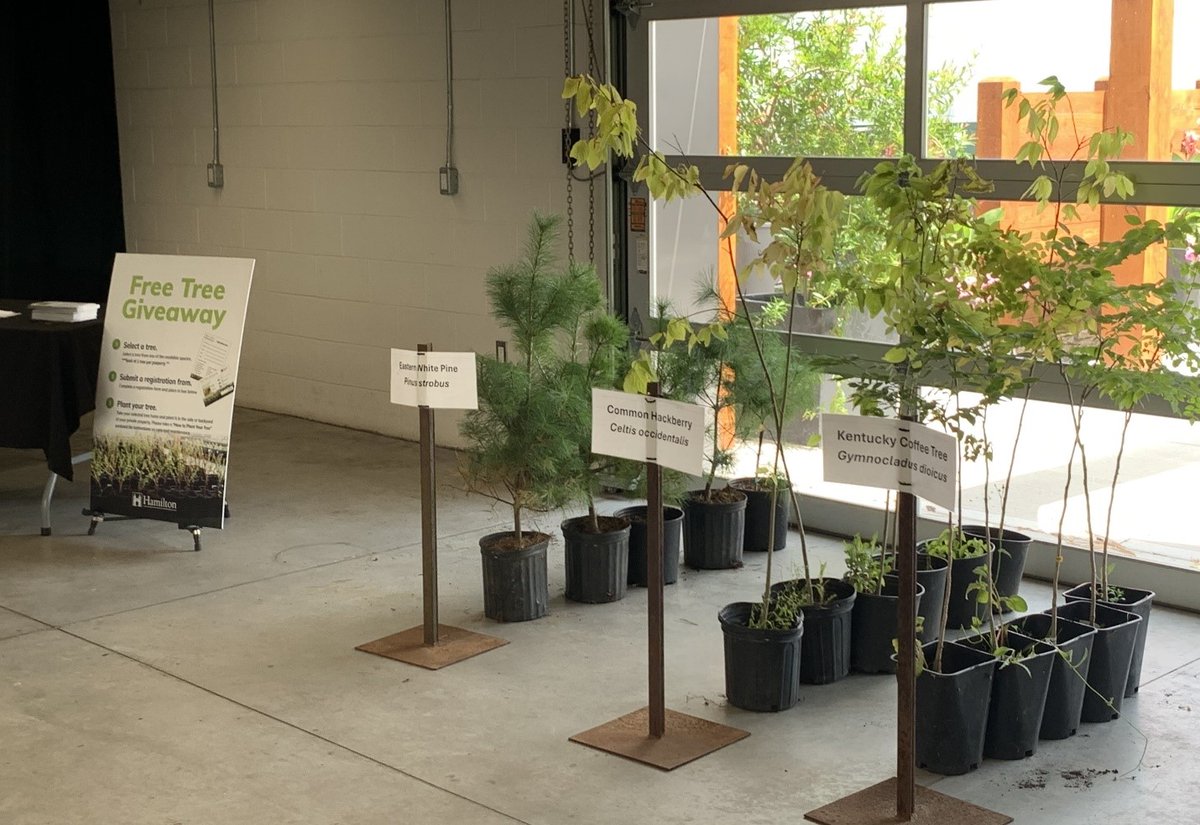 Hamilton is planting more trees! We’re pushing on with our ambitious community-wide 50,000-per-year target, focusing on doing so equitability. Check out Hamilton’s Climate Action Strategy 2024 Update for more progress, highlights and recommendations: pub-hamilton.escribemeetings.com/filestream.ash…