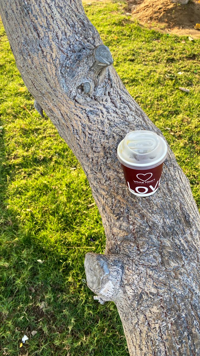 𝐌🇸🇦⚔️ tweet media