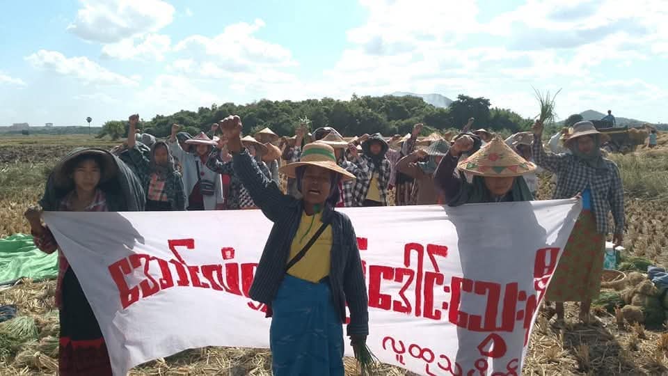 Little Activist tweet media