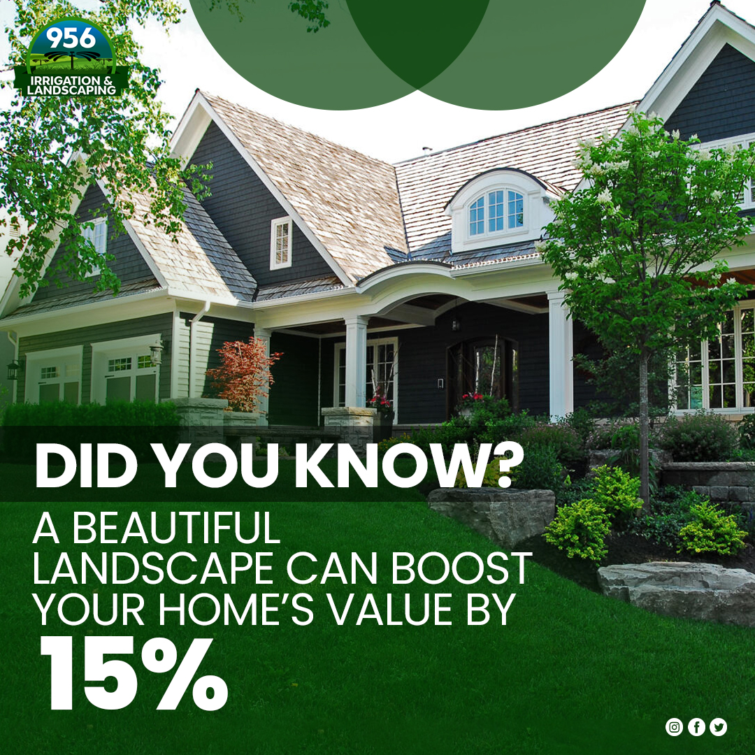 956Irrigation's tweet photo. Investing in your yard doesn’t just add beauty, it’s a smart choice for increasing property value. Give your home a boost with an attractive, well-kept landscape.

𝐖𝐞𝐛: https://t.co/8tT1O2HxSm
𝐏𝐡: (956) 222-8866

#landscape #lawncare #lawn #garden #gardening #garden https://t.co/mfJSWhwipg