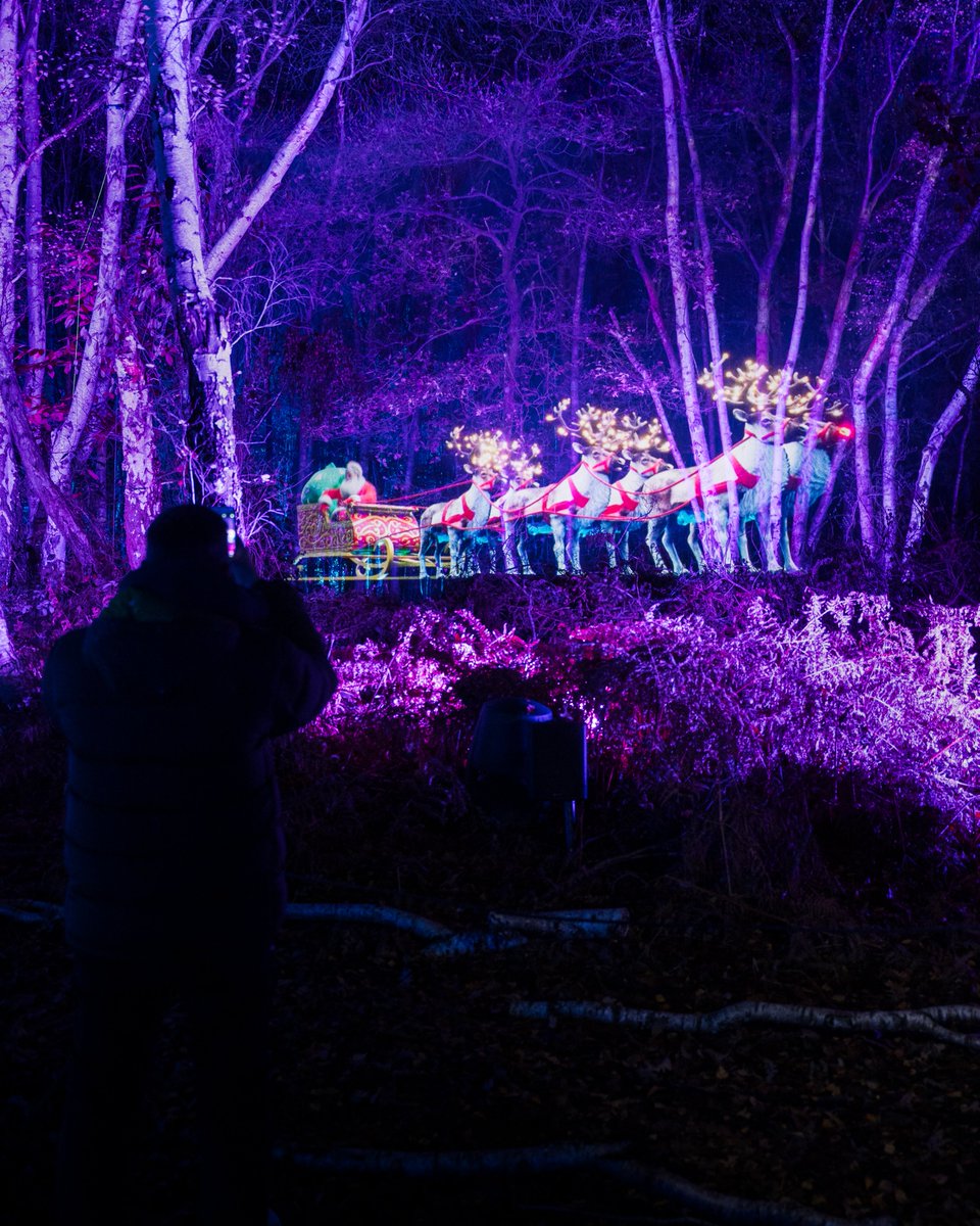LCIProductions's tweet photo. Sleigh Bells ring, are you listening? 🎅 

Experience the wonder of our Sleigh Bells installation at @WGPilluminated! A mesmerising #immersive #Christmas scene unfolds, with Father Christmas appearing magically on a Holonet screen from within the forest.

#WindsorIlluminated https://t.co/aHkh3nfb7J