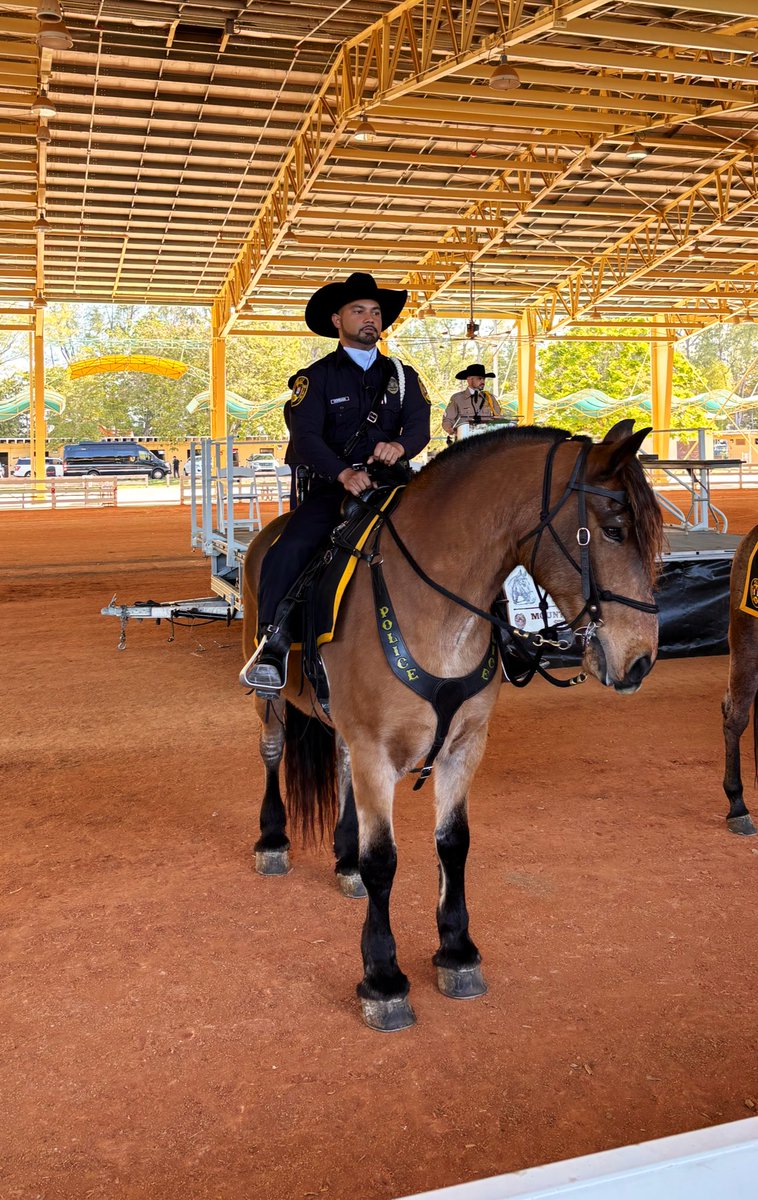 Major A. Guerra tweet media