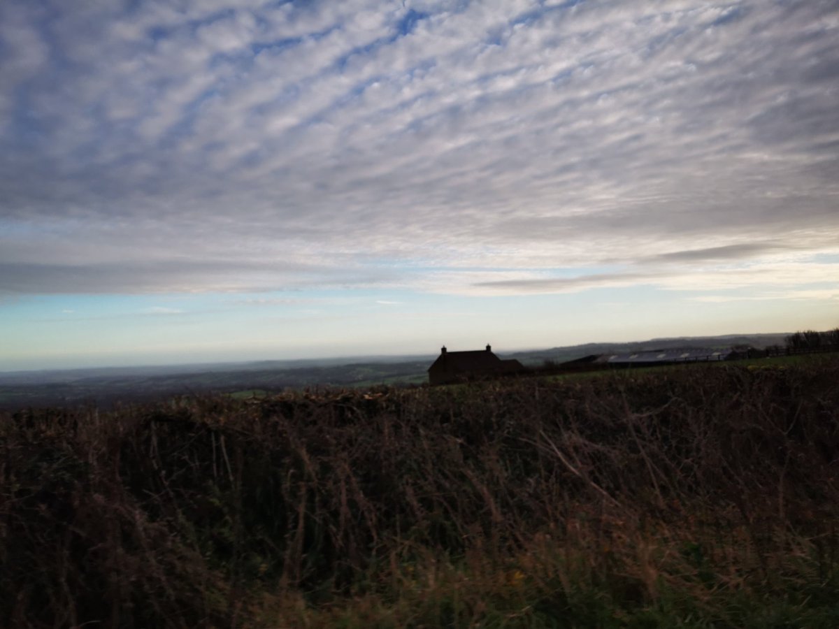 Gill ODell ☠️⚓🌊 tweet media