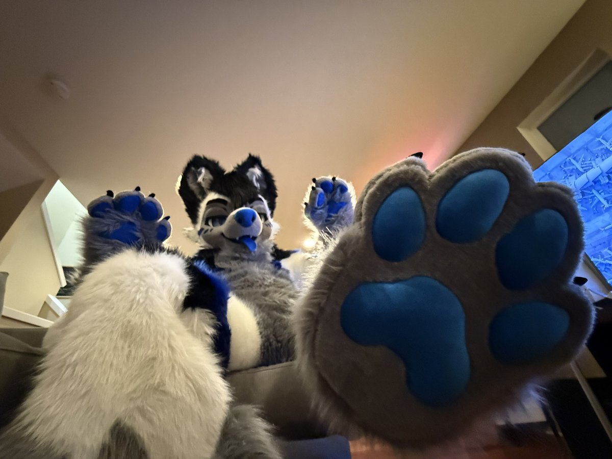 Pawslop posting on #FursuitFriday

📸: <a href="/SparkyFen/">Sparky @ FWA</a> 

(Happy POE 2 day to all who celebrate)