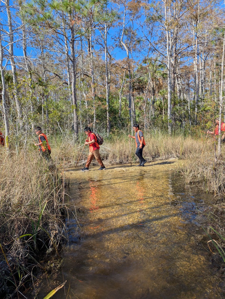 PiperEarthSpace's tweet photo. SWAMP day 3 with @IMS_Indians
🐌🐍 
"Oh that smells beautiful, bruh"
"SO PRETTY"
"I love this place. This place is NIIICE."
"This water is so clear!" https://t.co/409BIDCFH8