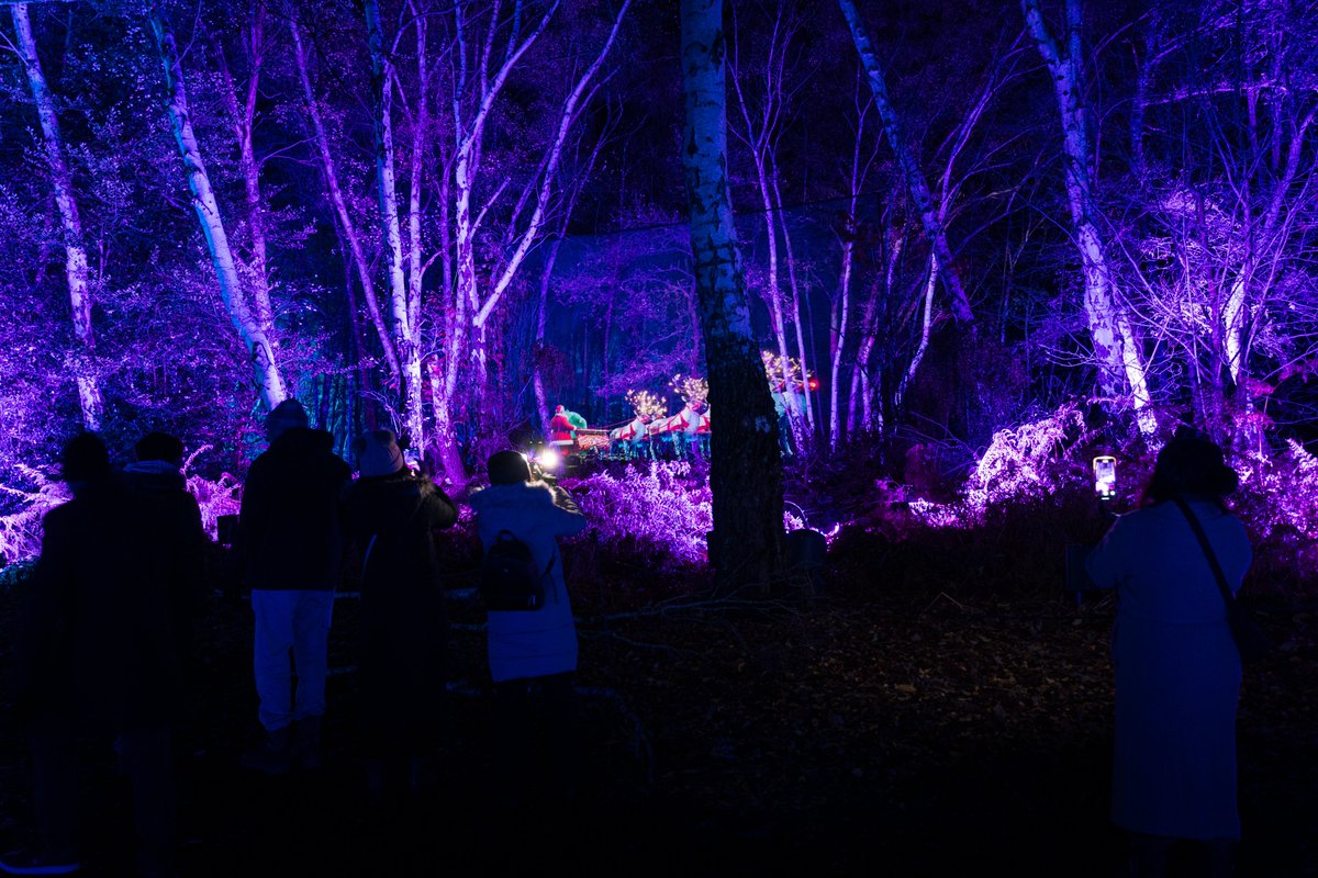 LCIProductions's tweet photo. Sleigh Bells ring, are you listening? 🎅 

Experience the wonder of our Sleigh Bells installation at @WGPilluminated! A mesmerising #immersive #Christmas scene unfolds, with Father Christmas appearing magically on a Holonet screen from within the forest.

#WindsorIlluminated https://t.co/aHkh3nfb7J