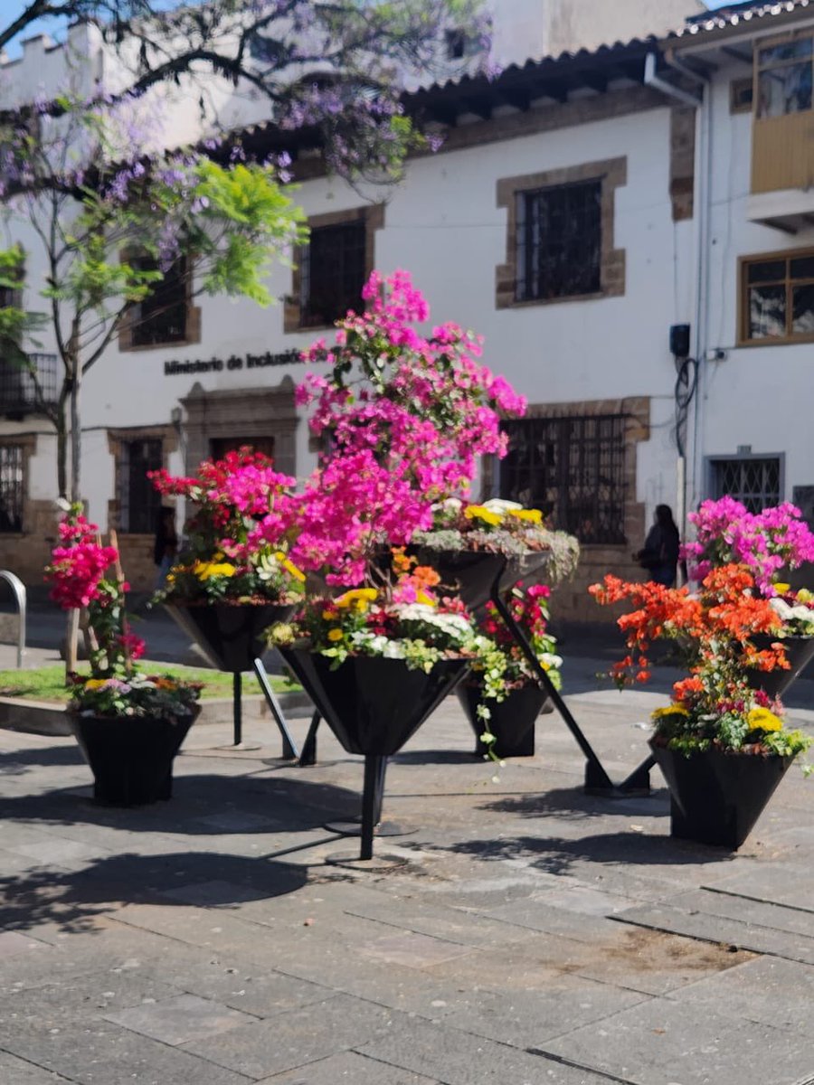 #Cuenca😍

Vive Cuenca, siente Cuenca 😊

Somos la mejor mejor ciudad del mundo 

📍Te pido que cuides todo lo que ponemos para que la ciudad esté guapetona, cuídala!
