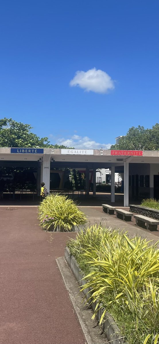 Christin Eliane tweet media