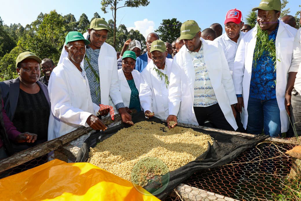 Cabinet Secretary Agriculture & Livestock Dev't tweet media