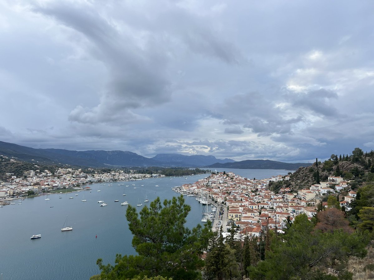 Fastbash88's tweet image. Baby Goat Encounters