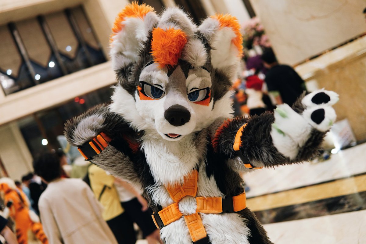 小埃同学 tweet media