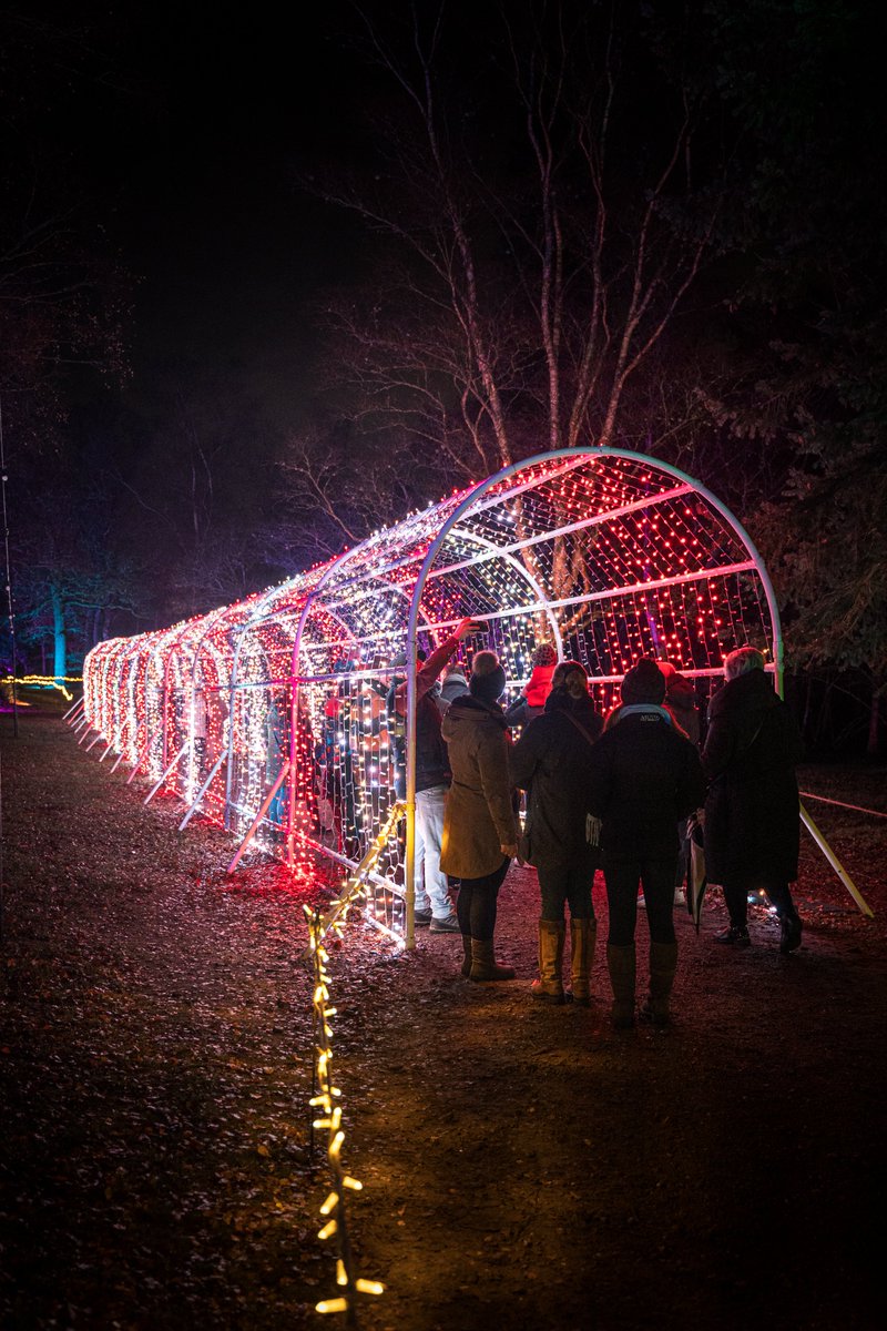 We're #InavationAwards Project Finalists! 🎉🏆 

Our work on <a href="/WGPilluminated/">Windsor Great Park Illuminated</a> w/ <a href="/IMG/">IMG</a> is recognised for creativity, tech, &amp; exceptional results. 11 immersive zones showcased captivating #storytelling, #innovative design, &amp; technical excellence. Winners announced at <a href="/ISE_Show/">ISE</a> 🤞