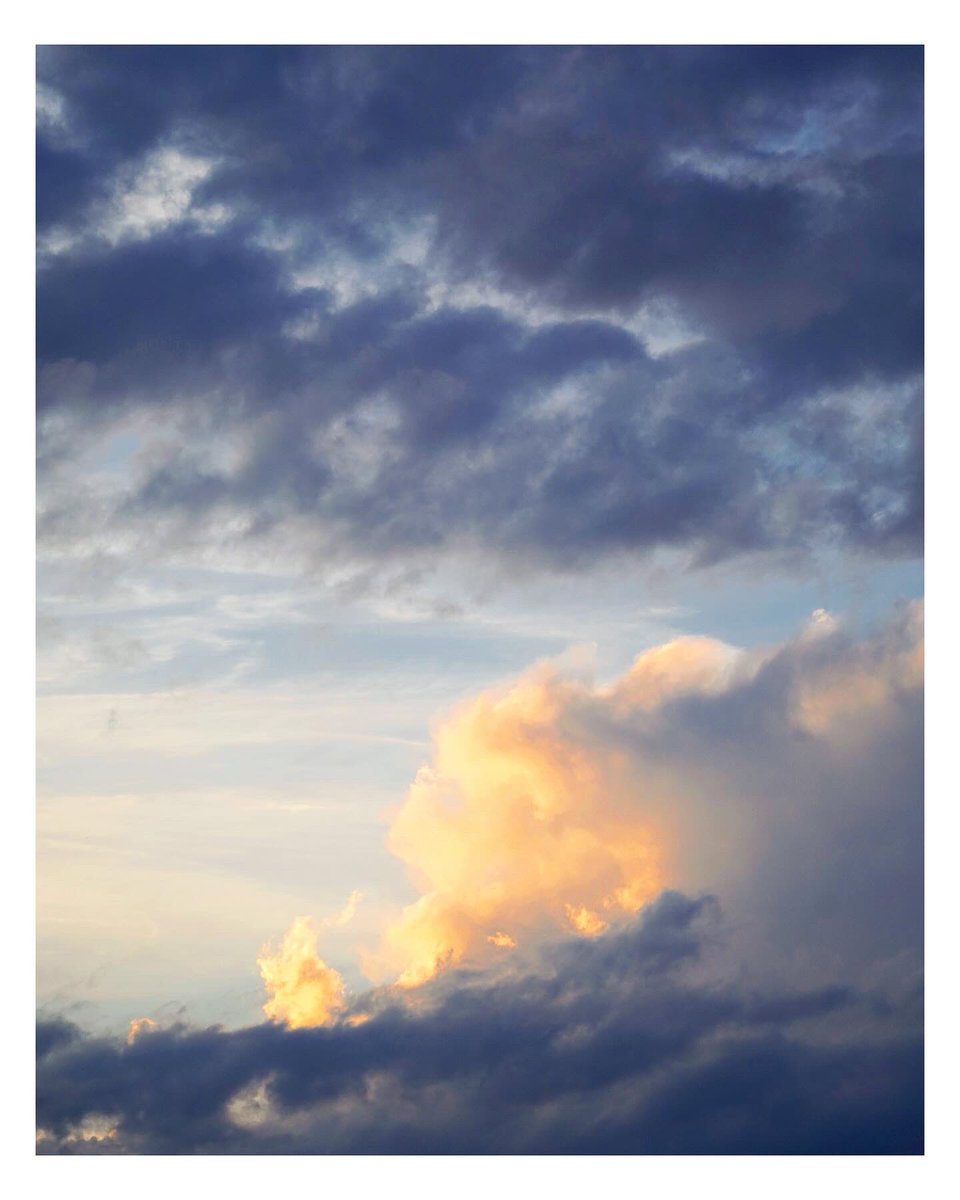 colorsofbokeh's tweet photo. There’s something deeply soothing about watching birds in flight, their graceful formation against the backdrop of a pastel-painted sky.

Sometimes, all we need is to look up and let nature tell its timeless stories.
What does this scene reminds you of?

91/365 #Sunset https://t.co/wUgCEDEhum