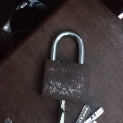 I'm genuinely thankful for our content exchange. This article is a fantastic resource. I'll definitely be sharing it with others. Adriana Urhahn