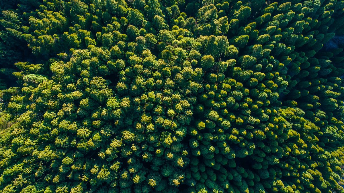 🏡 #Décarboner le bâtiment : un enjeu clé pour l’avenir 🌍

Réduire notre impact climatique, c’est possible. Chaque geste compte : pour un avenir plus vert, construisons et rénovons de manière responsable ! 

► Découvrez les bonnes pratiques : bois.com/bois/ecologie/…