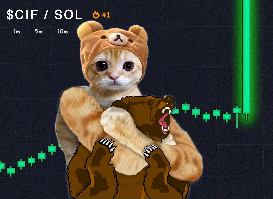 Kaizen2314's tweet photo. @CarsonYur 100M is the goal for CIF the OG Catwifhat 😼🧢 @OGcatwifcoin https://t.co/Ngo8hnJ4oz