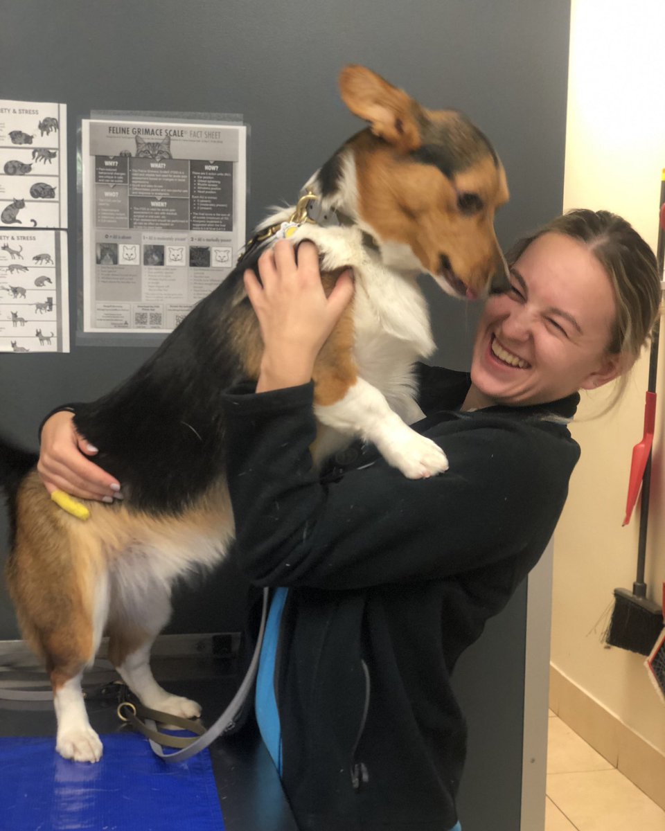 It’s our lovely vet tech Carly’s birthday! Help us wish her the very best day!!! ❤️ #roncy #roncesvalles #highpark